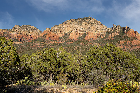 Arizona 2021