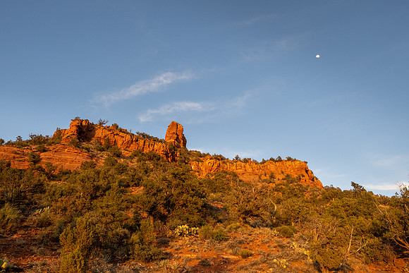 Arizona 2021