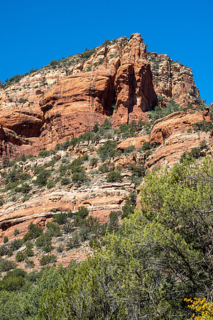 Arizona 2021