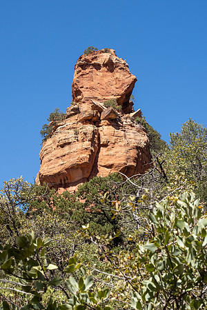 Arizona 2021