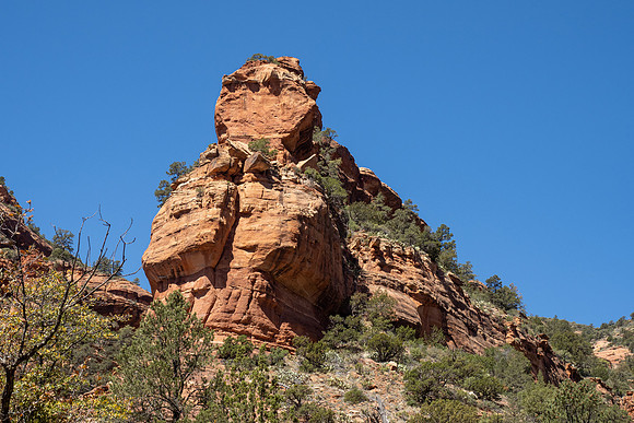 Arizona 2021