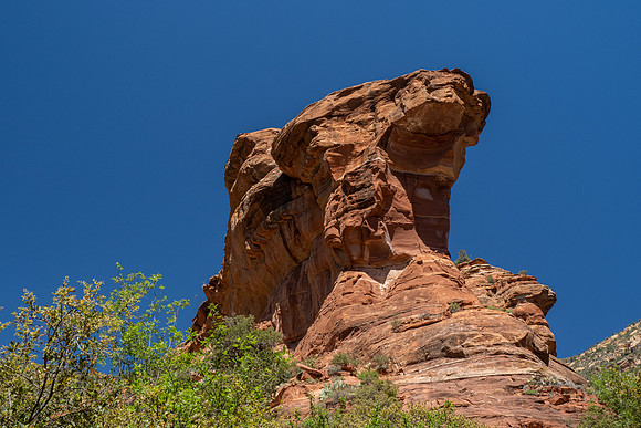 Arizona 2021