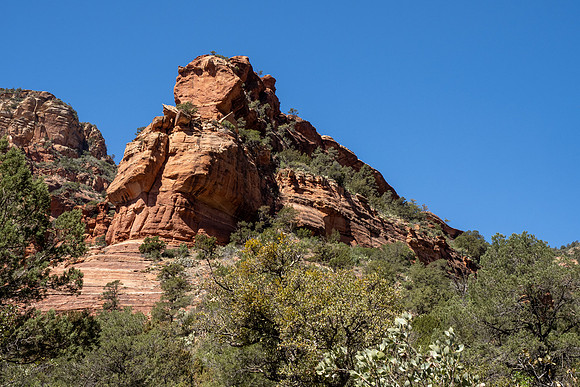 Arizona 2021