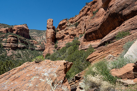 Arizona 2021