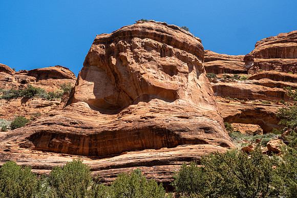 Arizona 2021