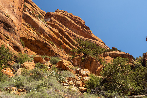 Arizona 2021