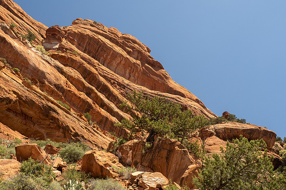 Arizona 2021