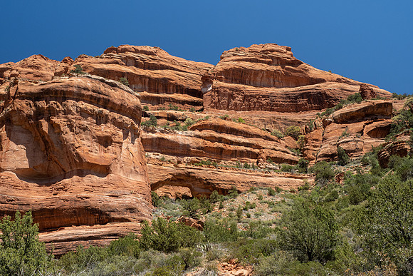 Arizona 2021