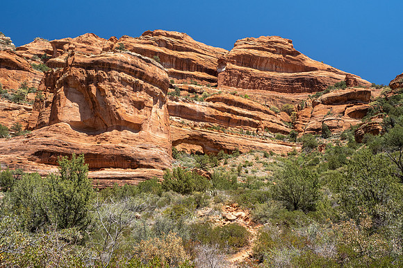 Arizona 2021