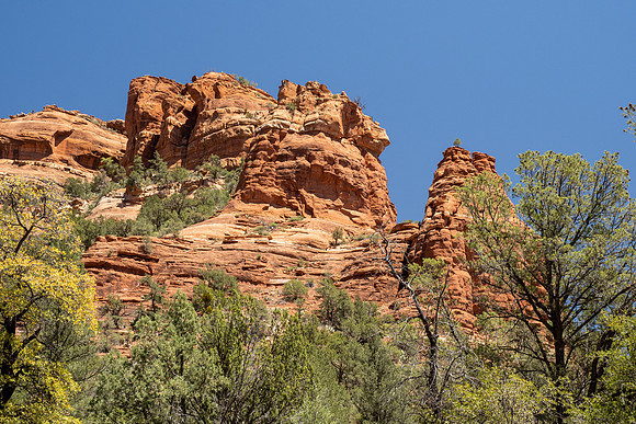 Arizona 2021