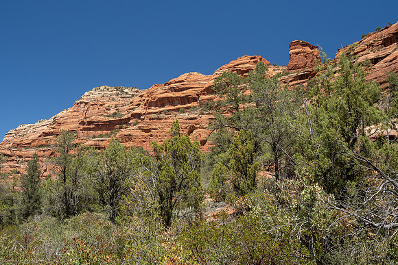 Arizona 2021