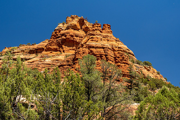 Arizona 2021
