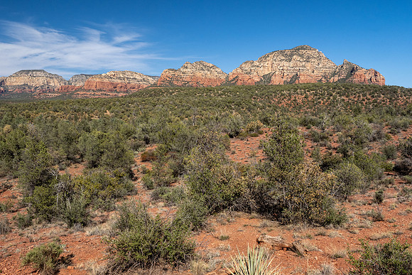 Arizona 2021