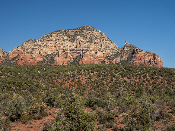 Arizona 2021