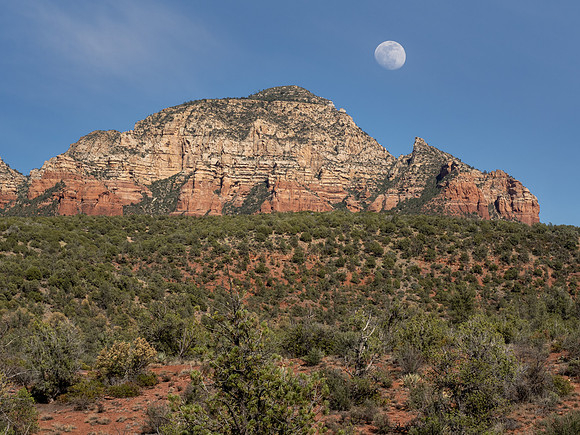 Arizona 2021