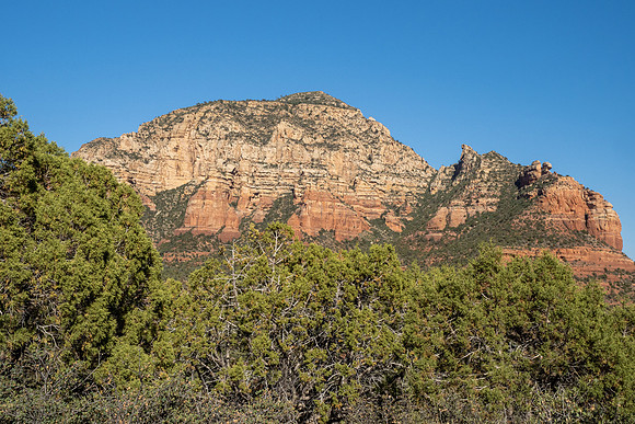 Arizona 2021