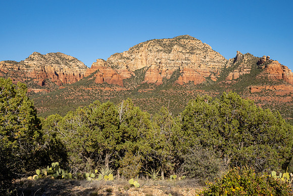Arizona 2021