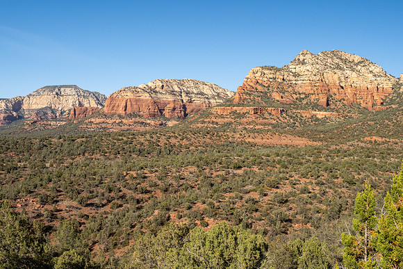 Arizona 2021