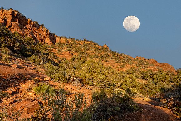 Arizona 2021