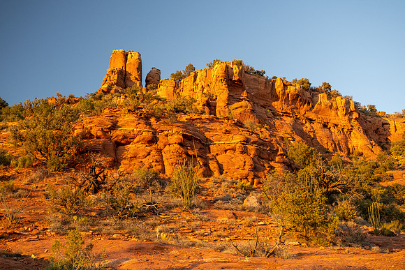 Arizona 2021