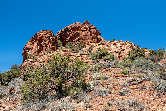 Arizona 2021