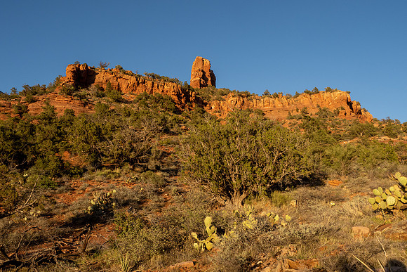 Arizona 2021