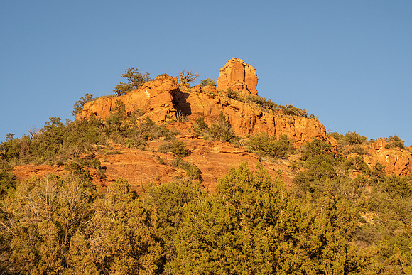 Arizona 2021