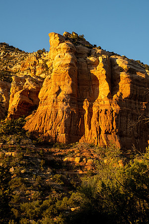 Arizona 2021