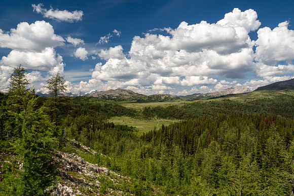 Banff National Park 2025