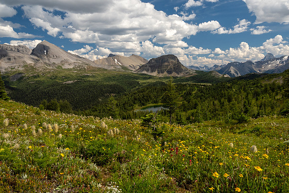 Banff National Park 2025