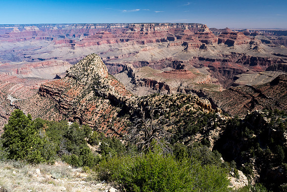 Arizona 2018