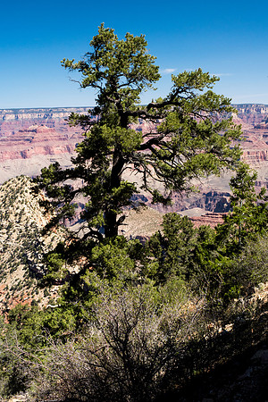 Arizona 2018