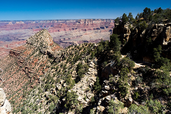 Arizona 2018
