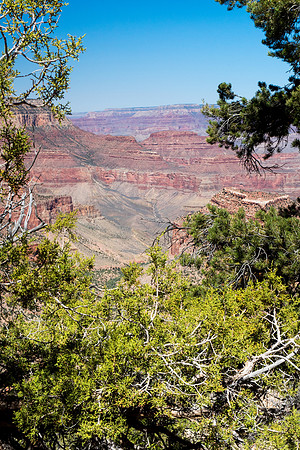 Arizona 2018