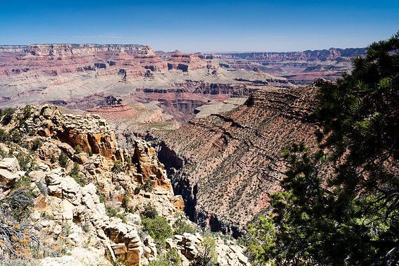Arizona 2018