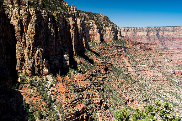 Arizona 2018