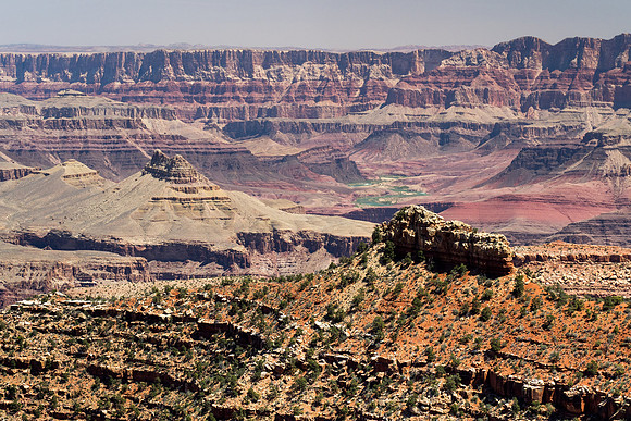 Arizona 2018