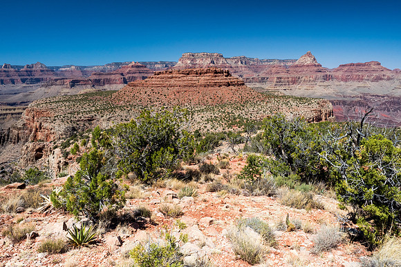 Arizona 2018