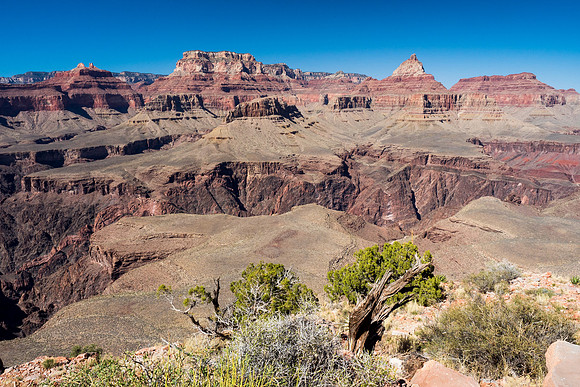 Arizona 2018