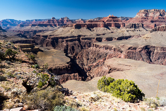 Arizona 2018
