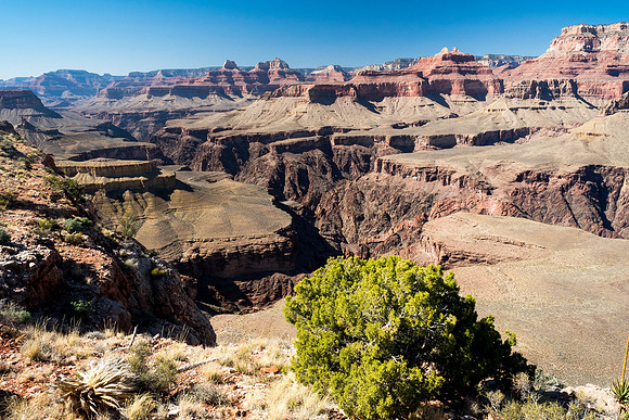 Arizona 2018
