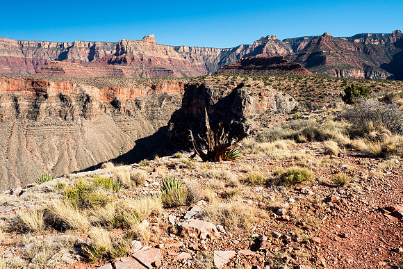 Arizona 2018