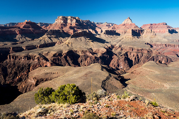 Arizona 2018