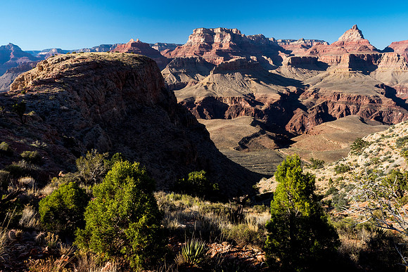 Arizona 2018