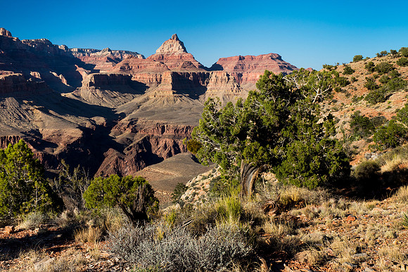 Arizona 2018