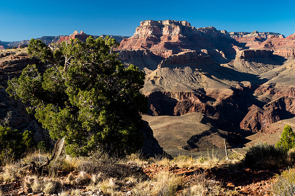 Arizona 2018