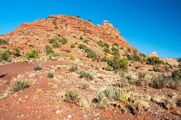 Arizona 2018