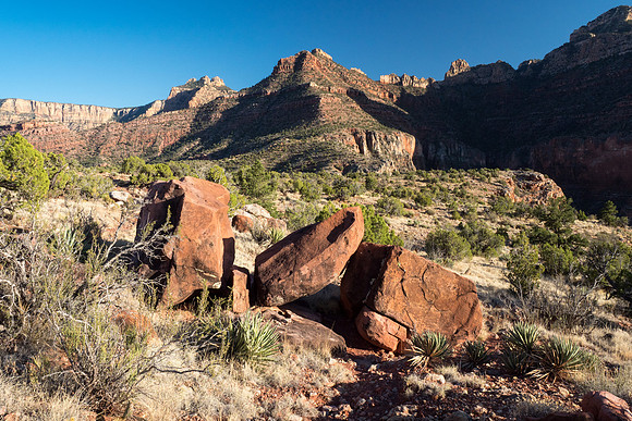 Arizona 2018