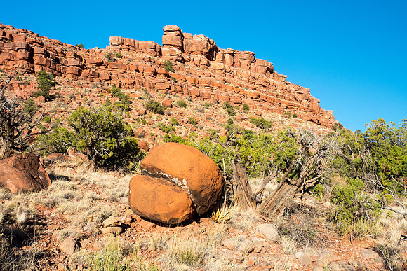 Arizona 2018