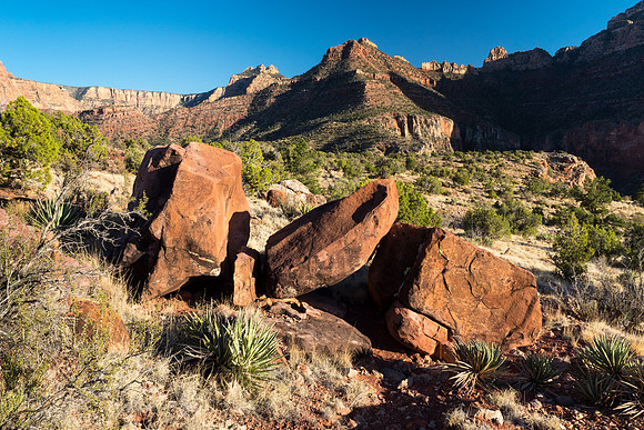 Arizona 2018